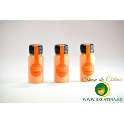 Pachet 3 x Shot de ghimbir cu lămâie – Energie și imunitate într-o doză mică!