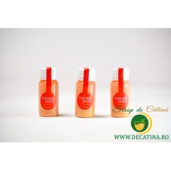 Pachet 3 x Shot de ghimbir cu măr și lămâie – Echilibrul perfect între prospețime și vitalitate!
