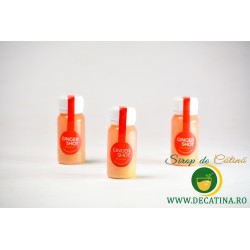 Pachet 3 x Shot de ghimbir cu măr și lămâie – Echilibrul...