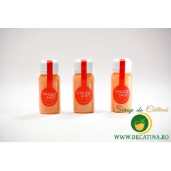 Pachet 3 x Shot de ghimbir cu măr și lămâie – Echilibrul perfect între prospețime și vitalitate!