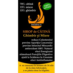 250 ml Sirop de catina cu miere si ghimbir