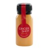 Shot de ghimbir cu măr și lămâie – Echilibrul perfect între prospețime și vitalitate!
