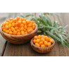 Catina boabe - 1kg